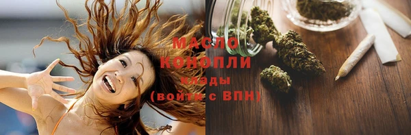 индика Гусиноозёрск