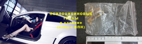 индика Гусиноозёрск