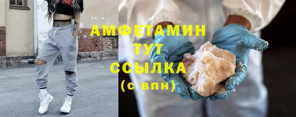 индика Гусиноозёрск