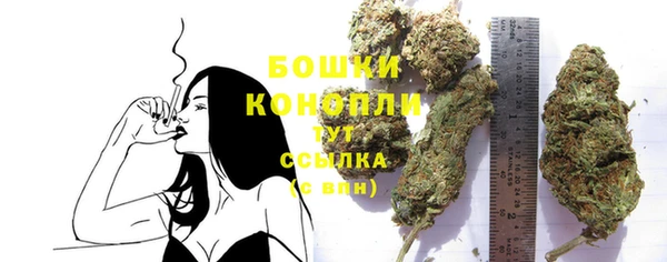 индика Гусиноозёрск