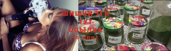 спайс Гусев