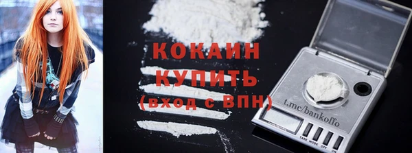 индика Гусиноозёрск