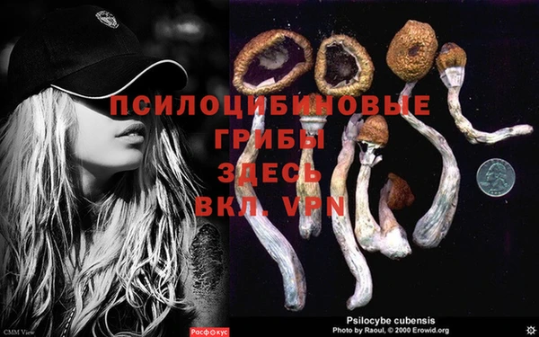 спайс Гусев