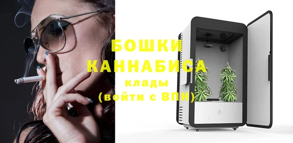 спайс Гусев