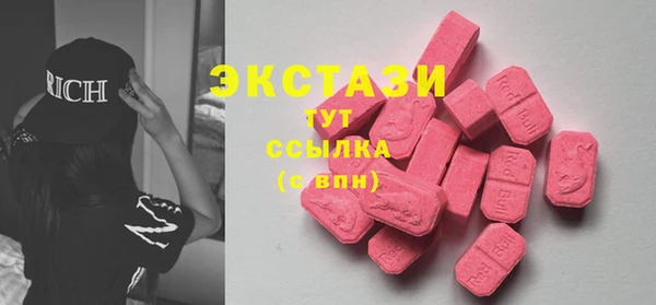 индика Гусиноозёрск