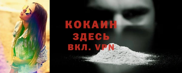 индика Гусиноозёрск