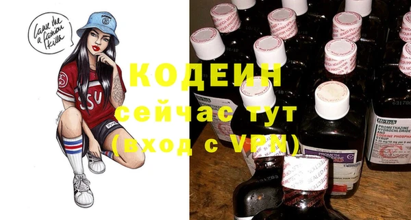 индика Гусиноозёрск
