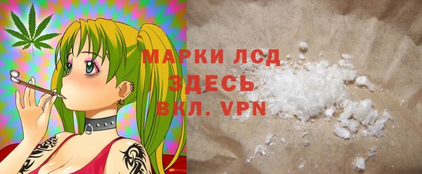 индика Гусиноозёрск
