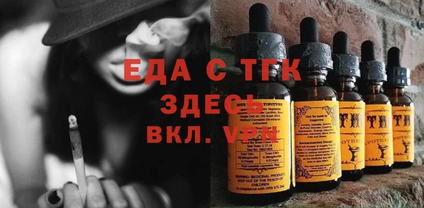 индика Гусиноозёрск