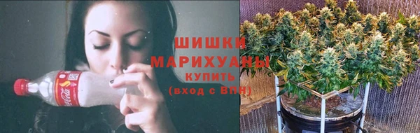 индика Гусиноозёрск