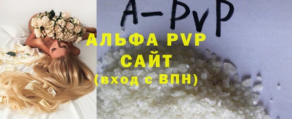 спайс Гусев