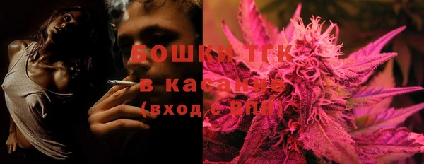 индика Гусиноозёрск