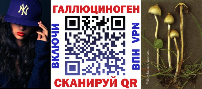 ОМГ ОМГ ONION  Курган  Псилоцибиновые грибы GOLDEN TEACHER 