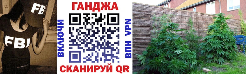 Канабис гибрид  что такое   OMG tor  Курган 